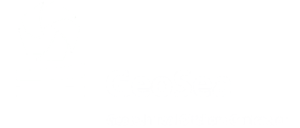 Logo GeoSea